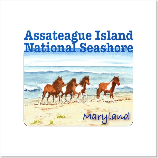 Assateague Island National Seashore Wall Art by MMcBuck